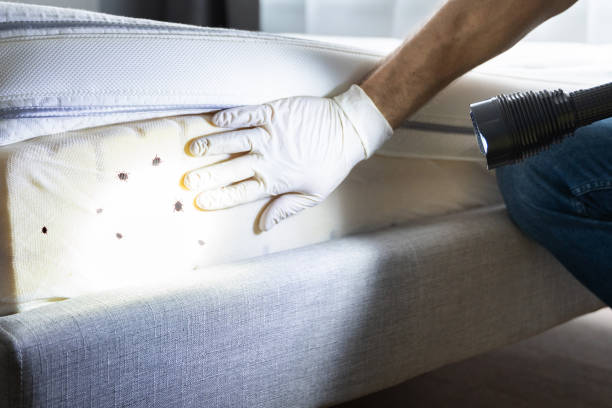 Best Wasp Removal Services  in Farmersville, CA