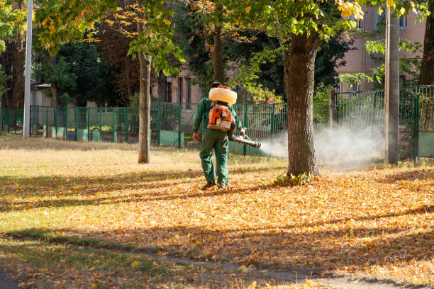 Best Insect Control  in Farmersville, CA