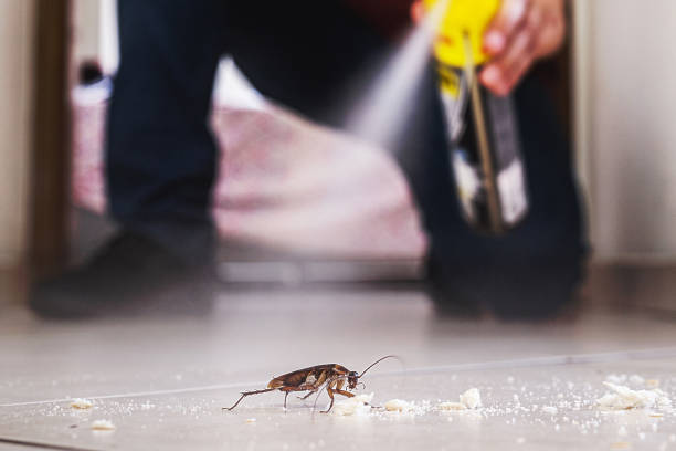 Best Mosquito Control Services  in Farmersville, CA