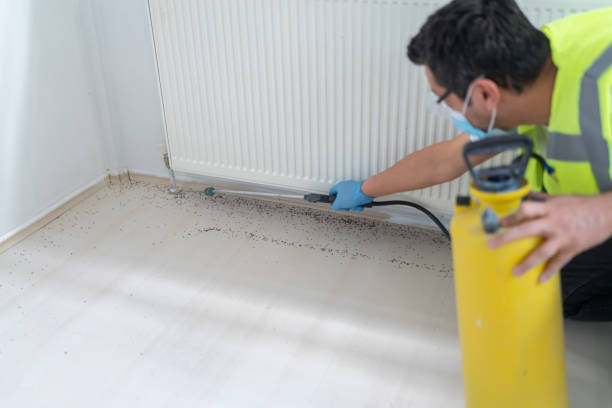 Best Bed Bug Extermination  in Farmersville, CA