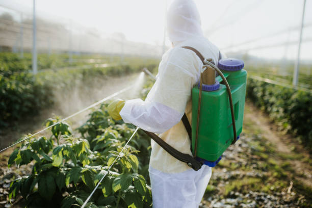 Trusted Farmersville, CA Pest Control Experts